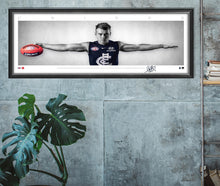 Load image into Gallery viewer, Patrick Cripps Mini Wings