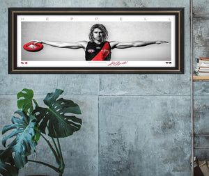 Dyson Heppell Mini Wings