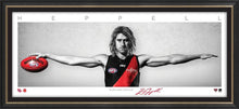 Load image into Gallery viewer, Dyson Heppell Mini Wings
